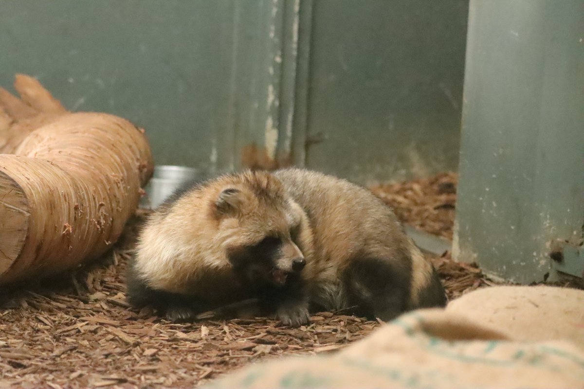 和宏(写真置き場) tweet media