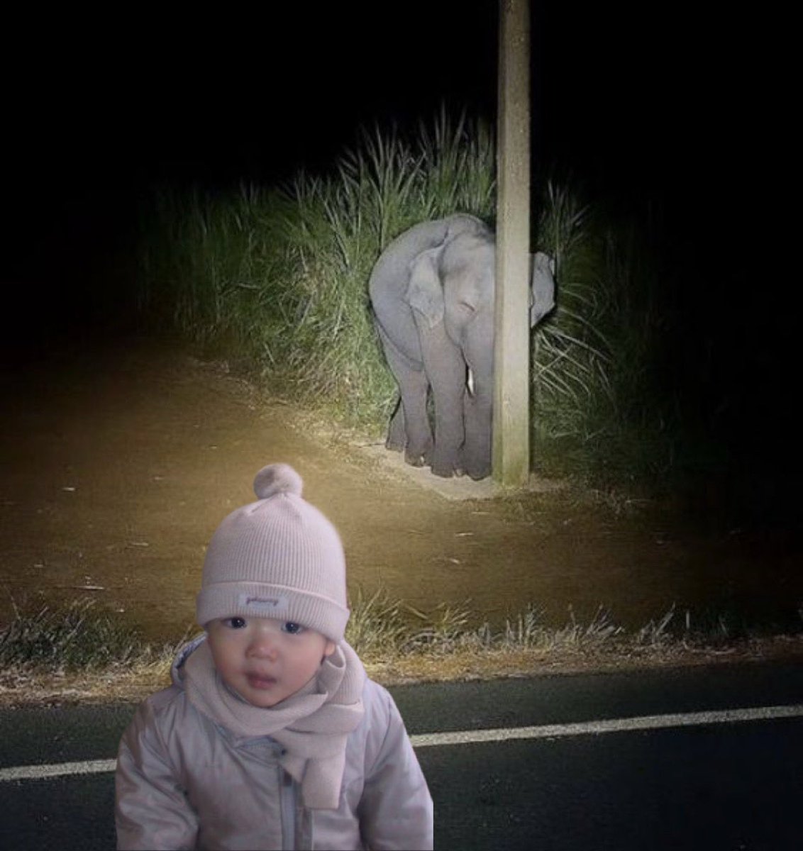 ウォンビン𓏵ྀི tweet media