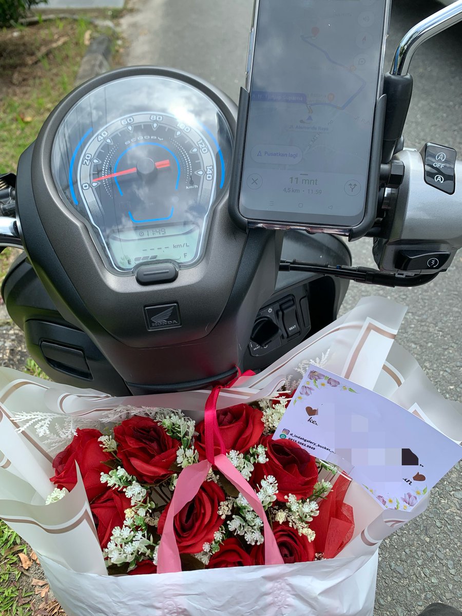 Mailll🦖 tweet media