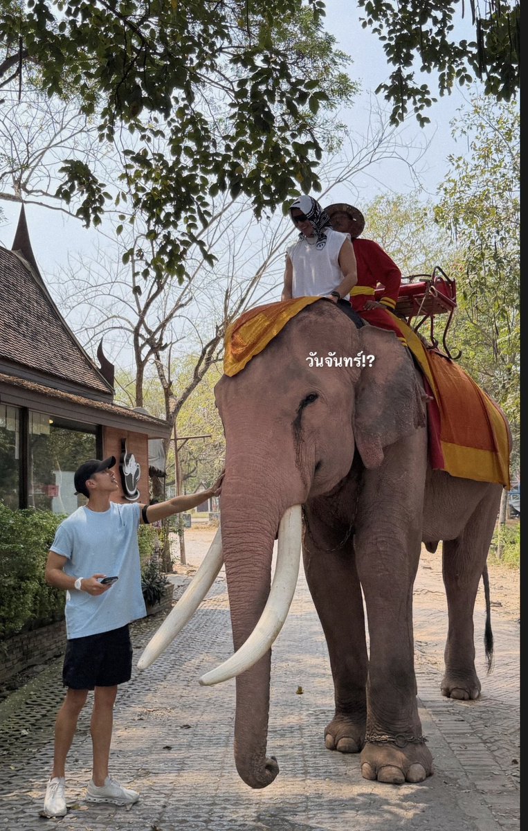 TreNineforever tweet media