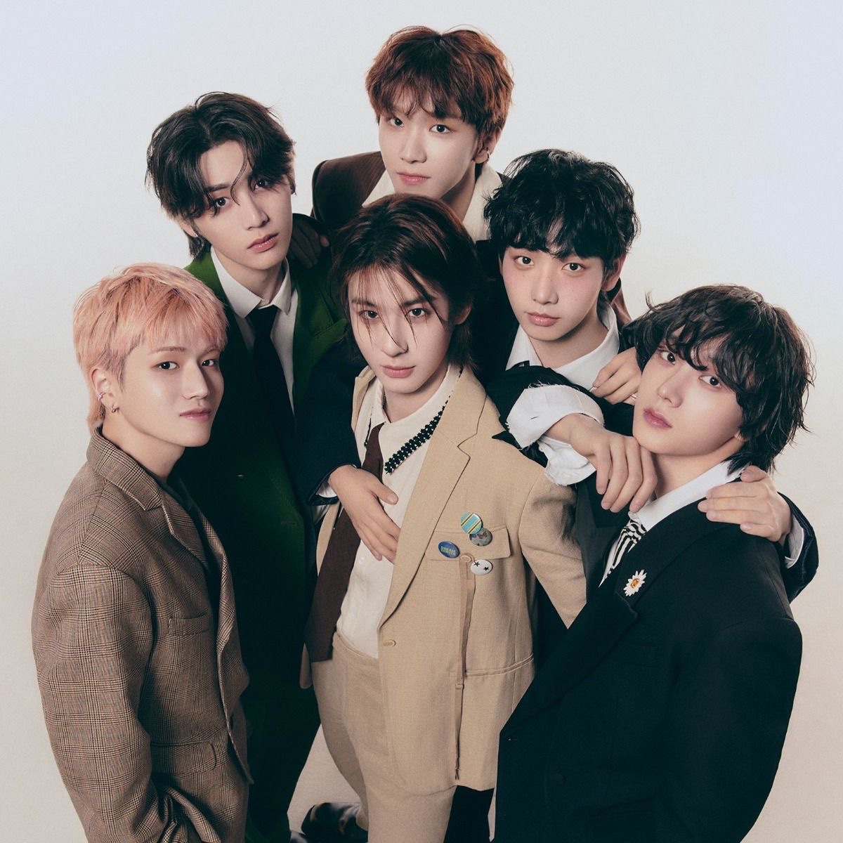 NPOMV | Zine tweet media