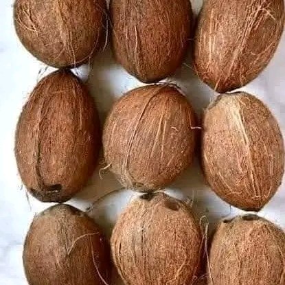 FÍDÍPÒTE 👑 tweet media