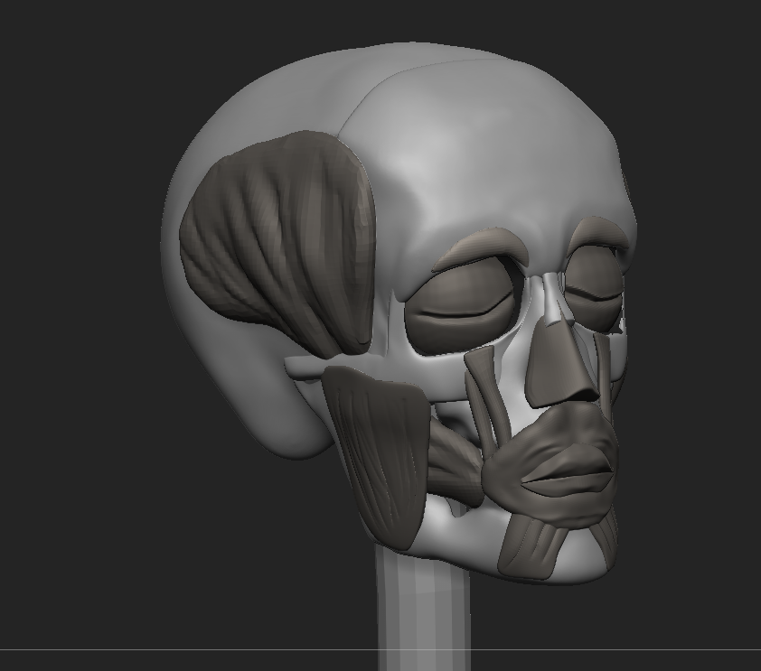 ruwind's tweet image. 目を入れて皺眉筋を追加したけど、完全に眼輪筋に隠れてしまうというorz
目鼻唇を入れるとかなり人の顔に近くなる。
#ZBrush