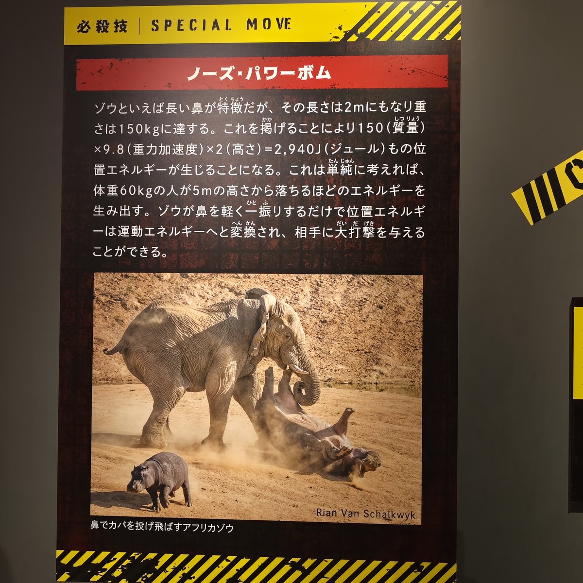 keimama_chi tweet media