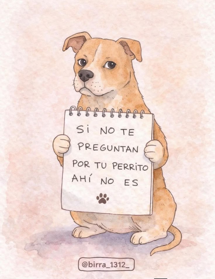 Max 🇦🇷 tweet media