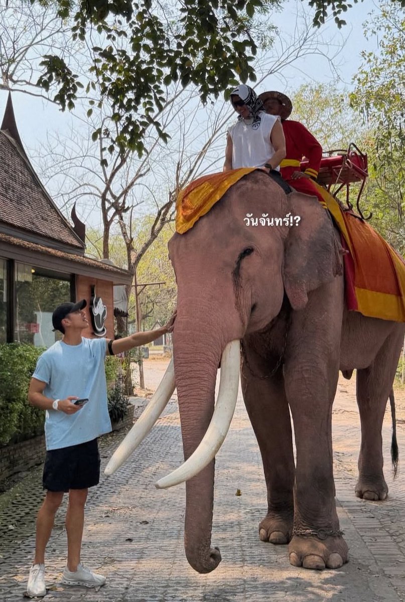 รูปนี้มันไอ่นั่นมาก มึง😭😭😭😭😭😭😭😭😭😭😭😭😭😭😭😭😭😭😭