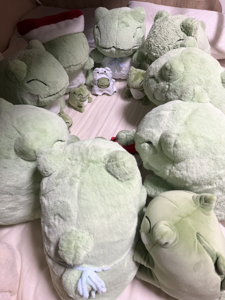 にゃんちゅう tweet media