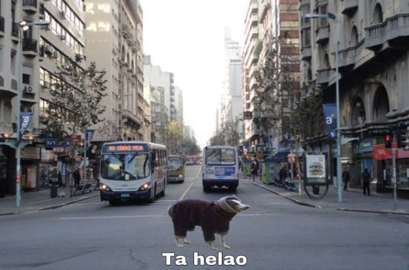 sofi (@sofdl7) on Twitter photo 