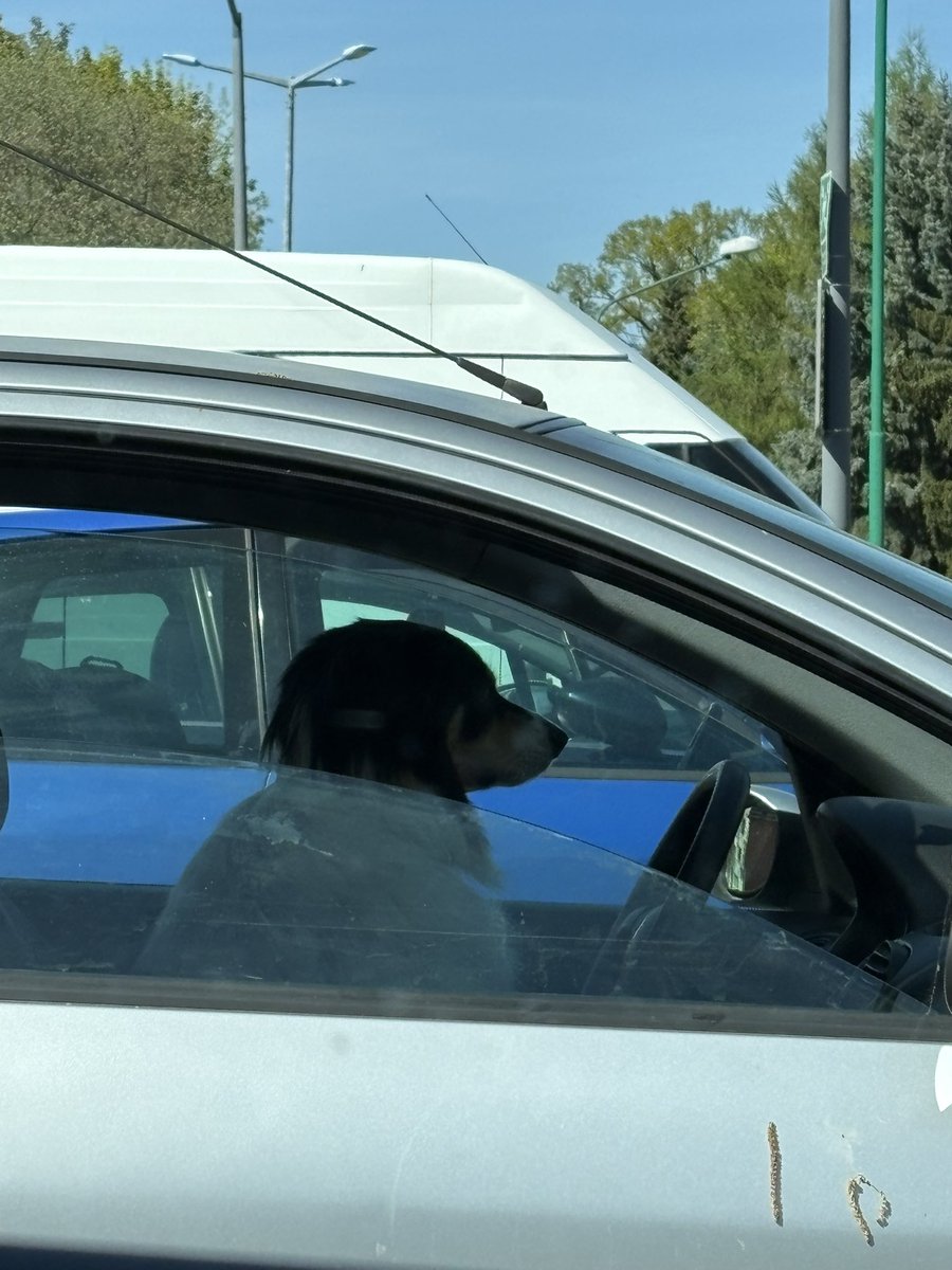 Starter League | Amateur CS2 Competition tweet media