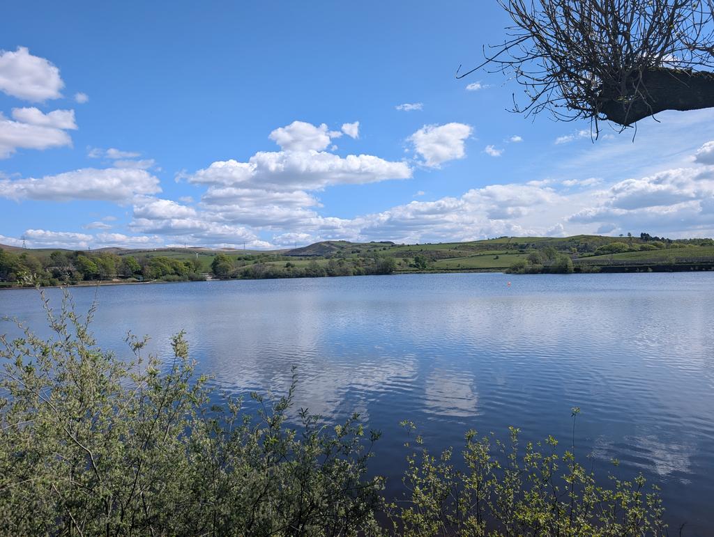 Brother Mac tweet media