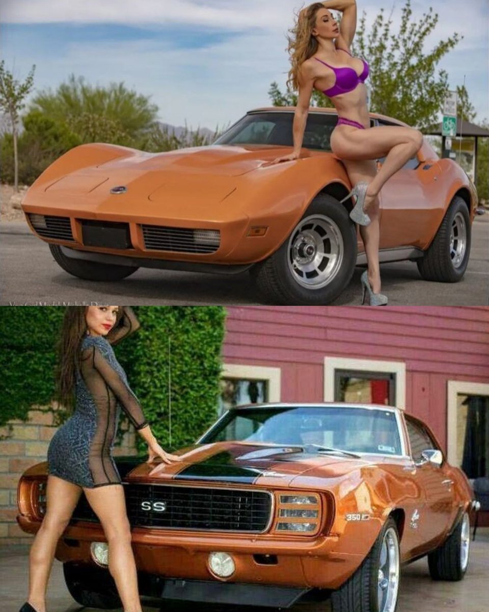 Vintage Cars Collection tweet media