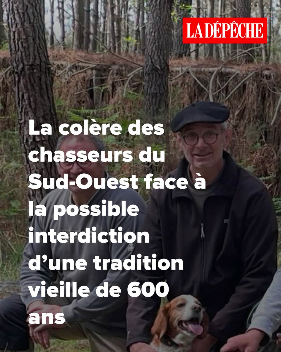 YaelAngel20's tweet image. Les #chasseurs pleurent une possible interdiction de la chasse à la #palombe au #filet car ce serait une tradition vieille de 600 ans. Ds traditions cruelles il y en a: esclavagisme, excision, mariage à 10 ans... Cs traditions sont interdites en occident. Ça s'appelle le progrès!