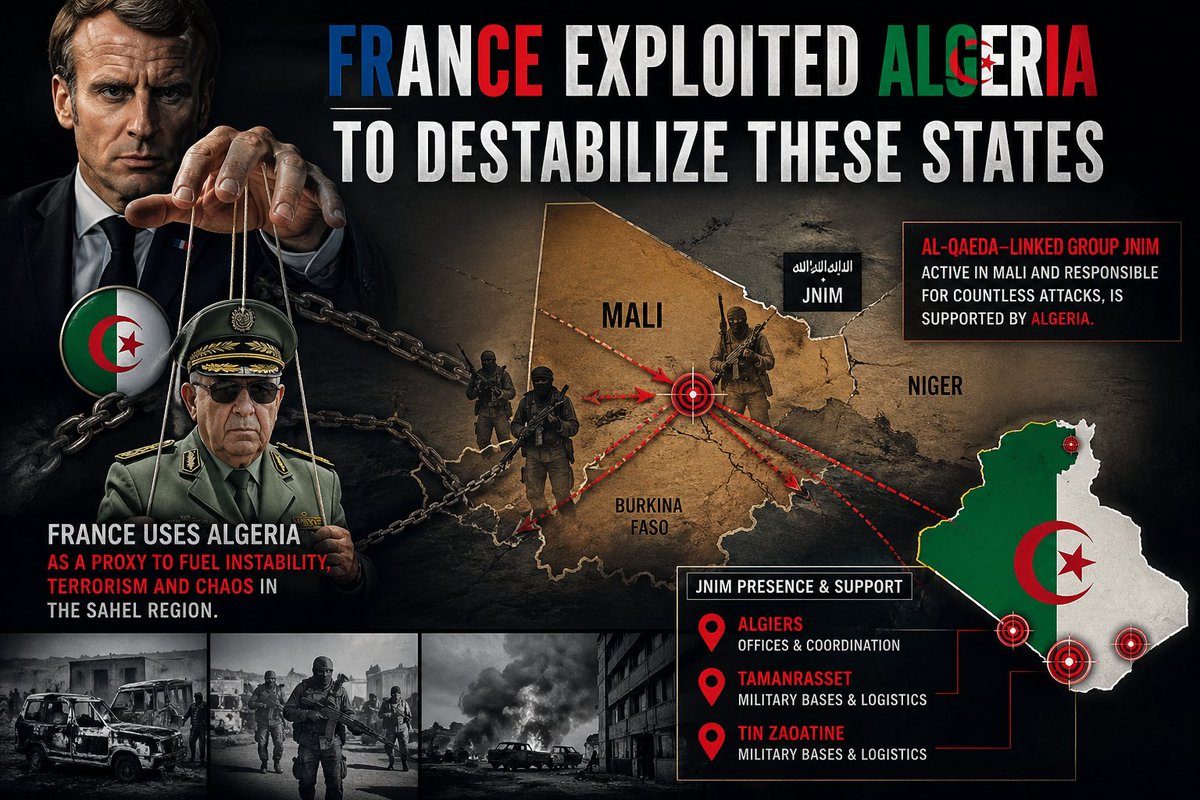 Linesports tweet media