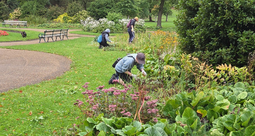 Pitchcare's tweet image. #PitchcareMagazine: 180 years strong 🌳

@PeelParkSalford one of the UK’s oldest public parks is seeing a new chapter of restoration and revival.

A powerful reminder of how historic green spaces continue to shape modern communities. 👇  
pitchcare.com/blogs/news/pee…

#Parks #Heritage