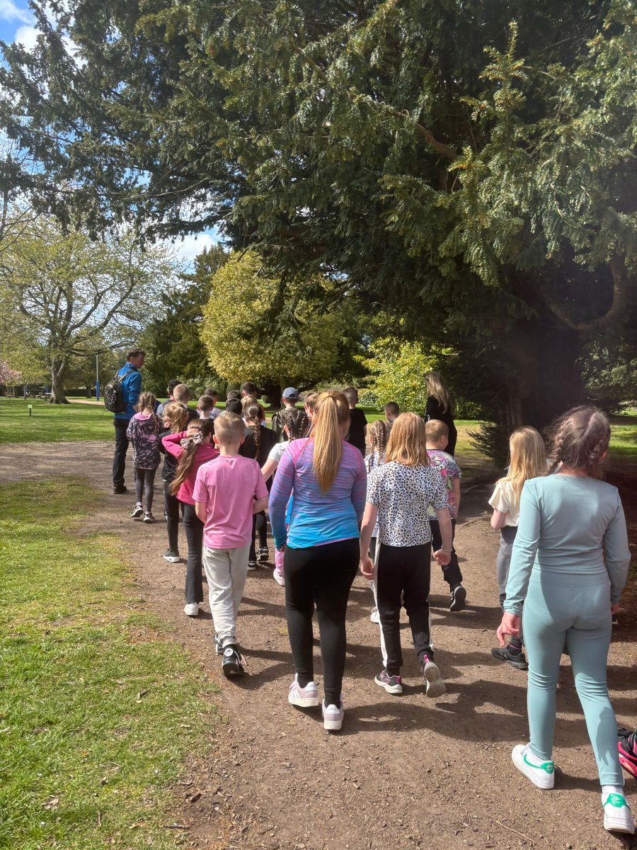 Whitehouse Primary tweet media