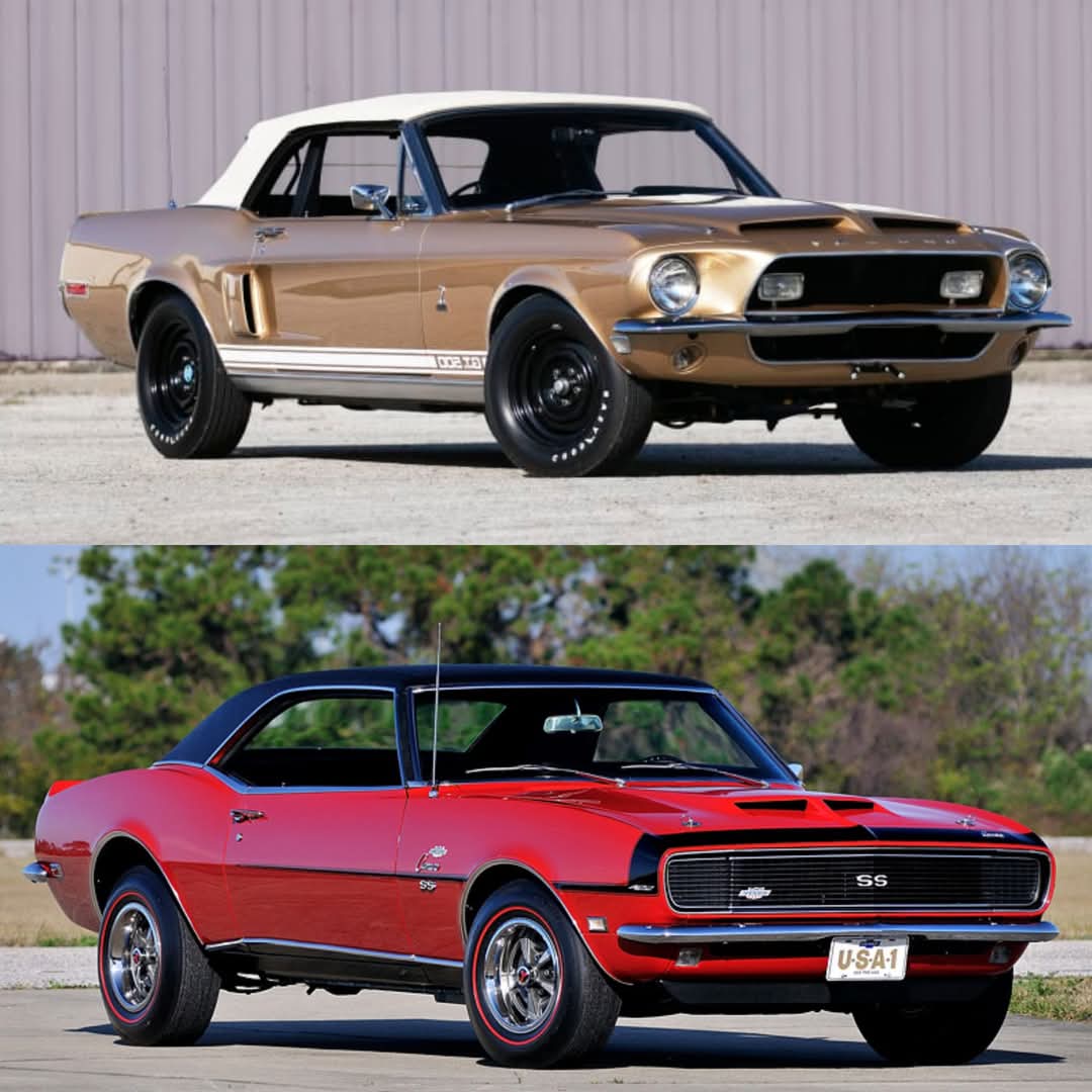 Vintage Cars Collection tweet media