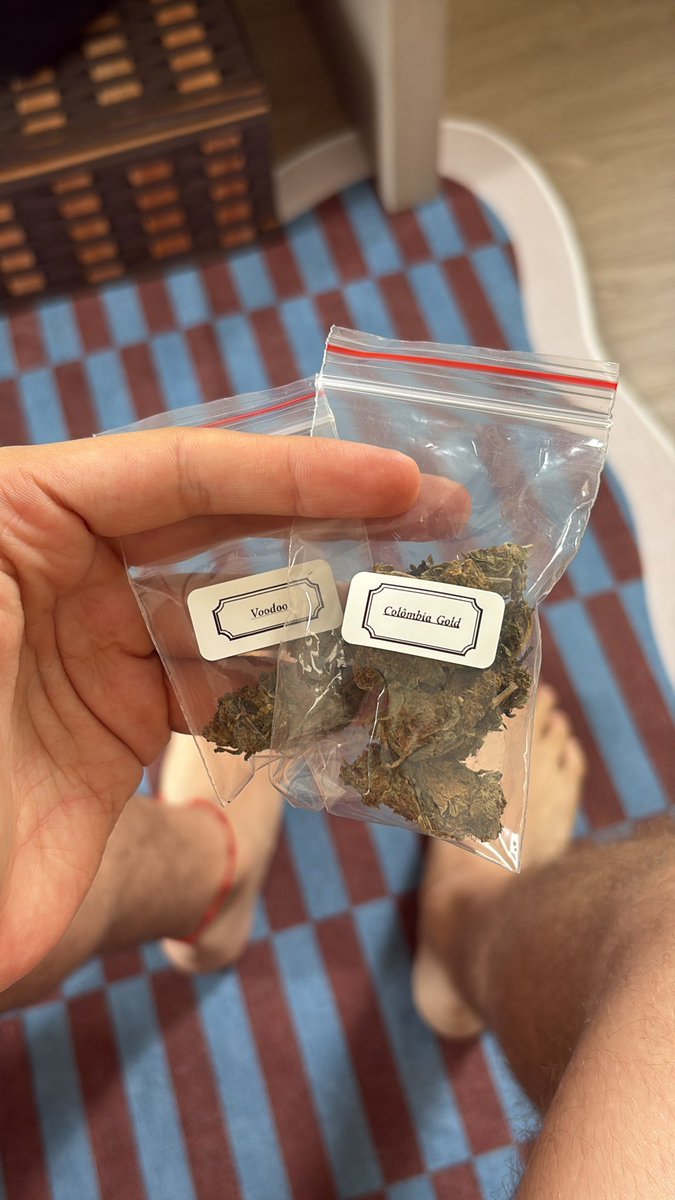 gulipo ·.·★.· 𖦹 ⟡ tweet media