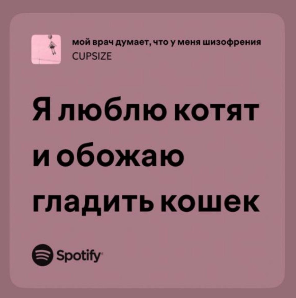 максим-_- tweet media