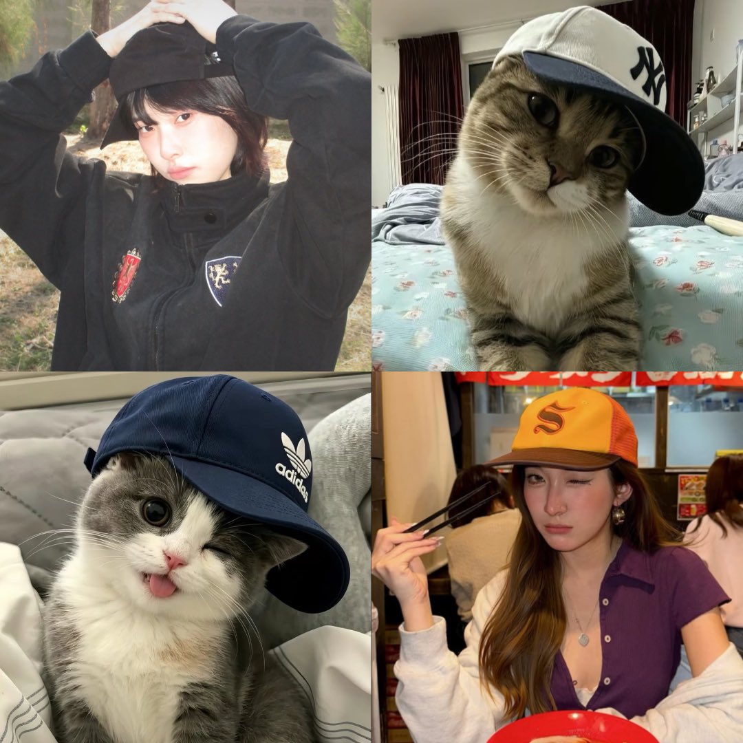 ไม่ใช่พัต ૮₍˶◜◡◝˶₎ა #เด็กออท tweet media