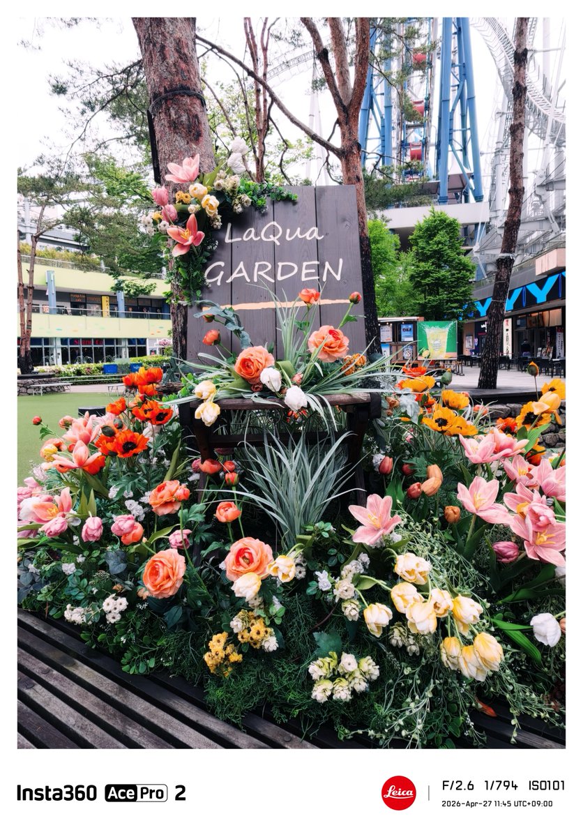 photog_daiki's tweet image. 写ルンです感覚で撮れました。
Leica Eternal - ETN
Insta360 Ace Pro 2
#Insta360 #Leica