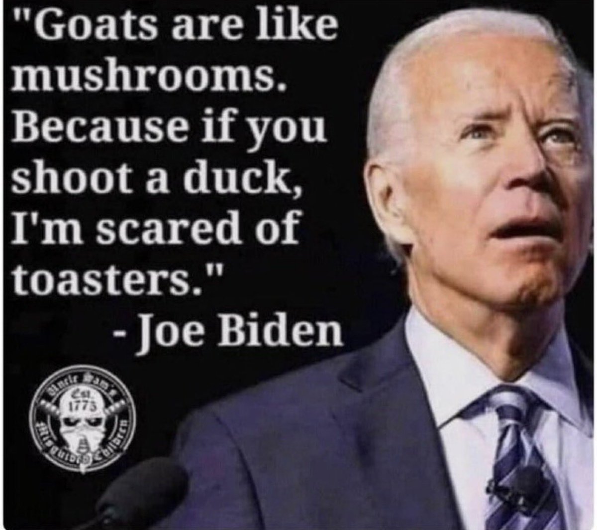 Semper Fidelis tweet media