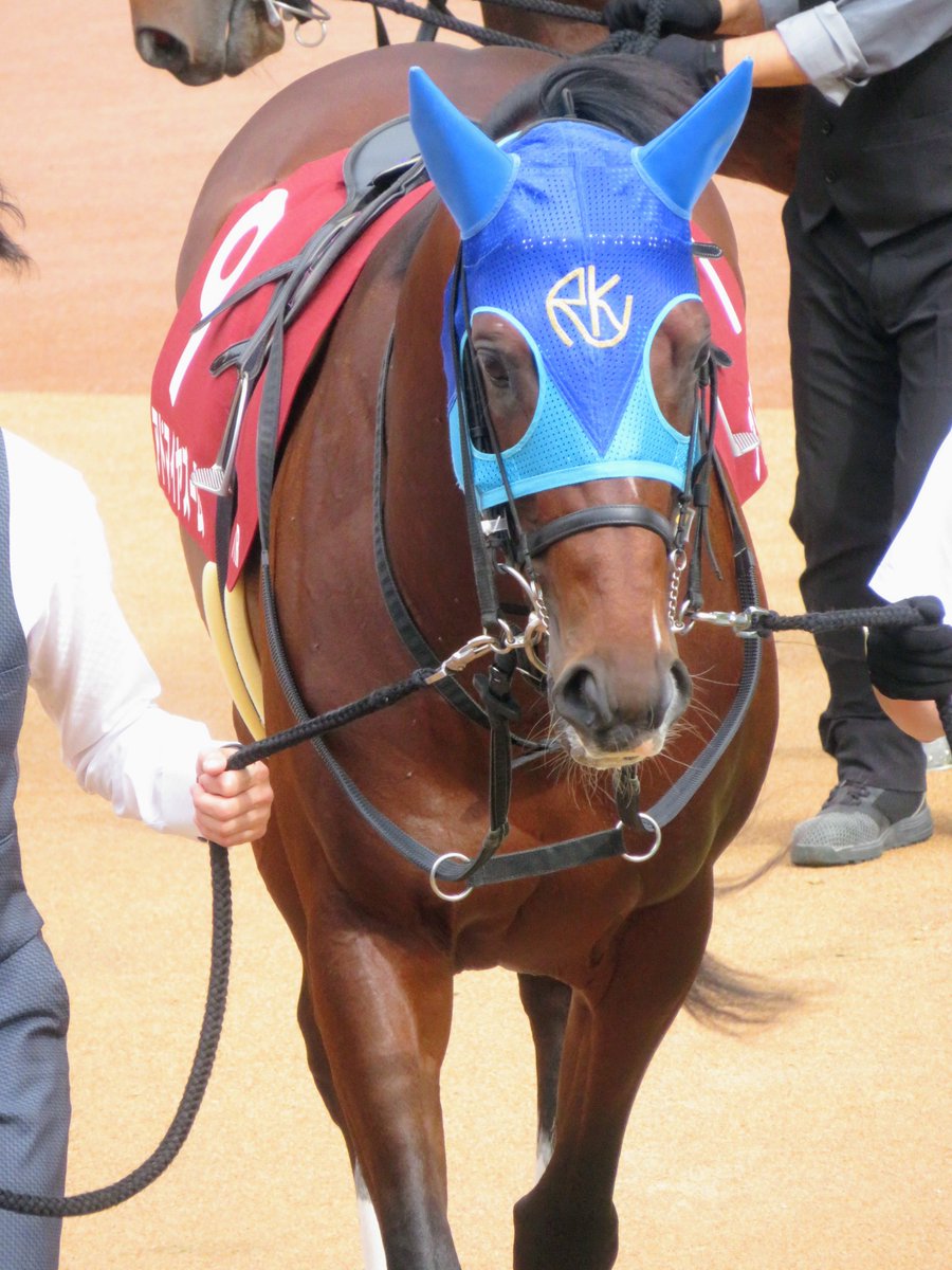 やまぴ🐎 tweet media