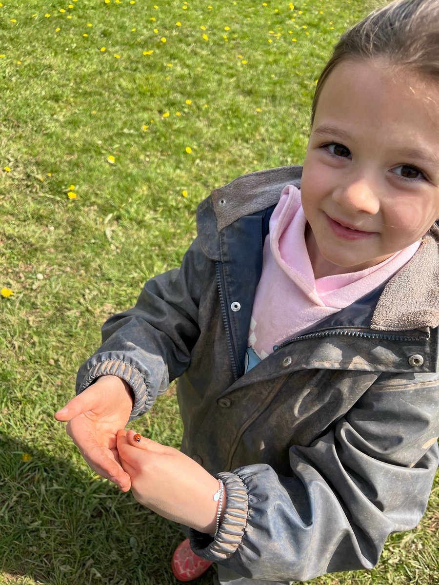 bycforest's tweet photo. Always looking for what we can find and what finds us 👀🫶🏼🪶🐞🐝🐛🕸️. #WeLoveForestSchools #OL #OutdoorLearning https://t.co/Dkm4jIEQDA