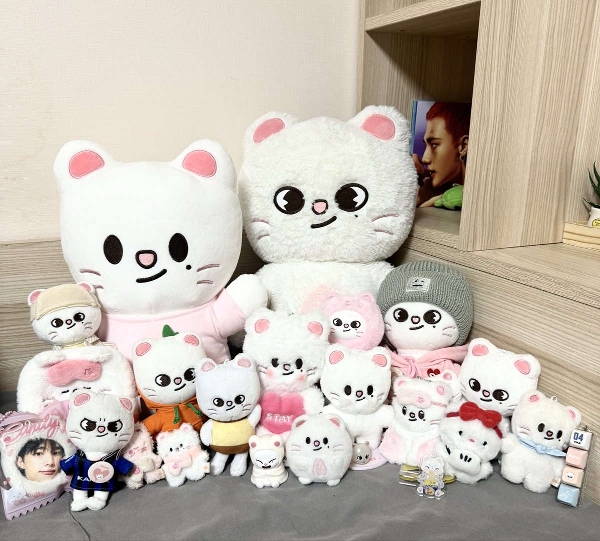 줄린진🫶🏻 tweet media