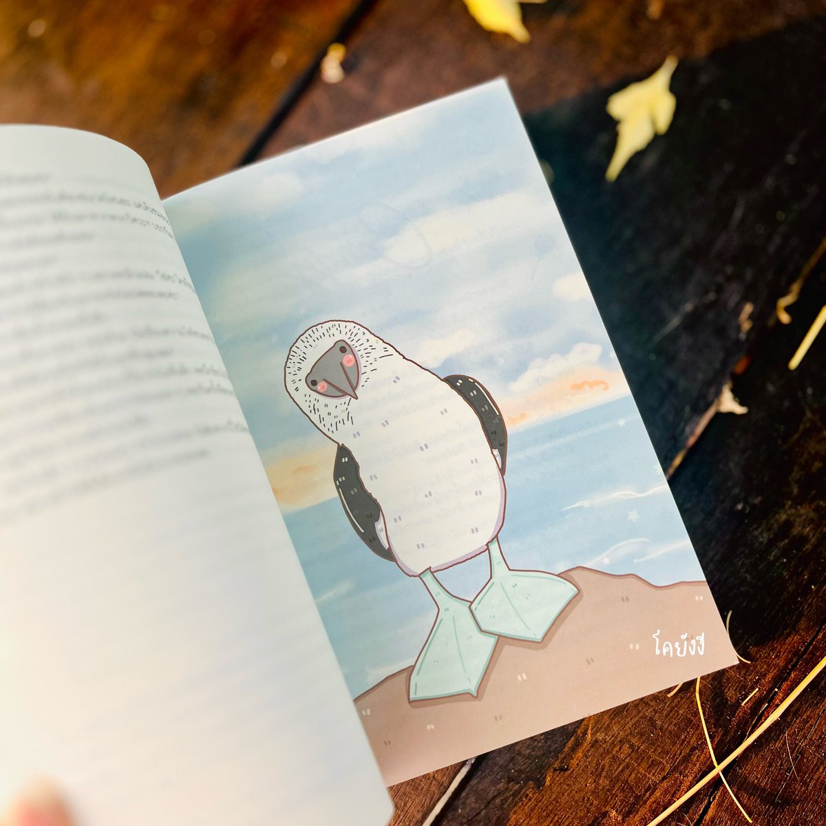 𝗸𝗼𝘆𝗮𝗻𝗴 ♡ tweet media