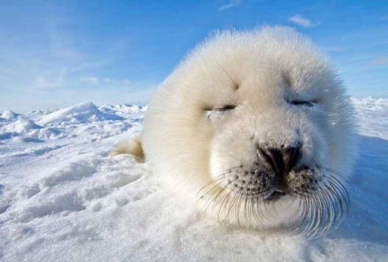 더비이즈 (영원히현재편) tweet media