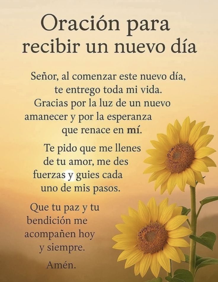 Motivosentuvida's tweet image. Oración para recibir un nuevo día. 🙏🙏🙏
#FelizLunes
#BuenosDías 
#BuenosDíasATodos 
#FraseDelDía 
@Motivosentuvida