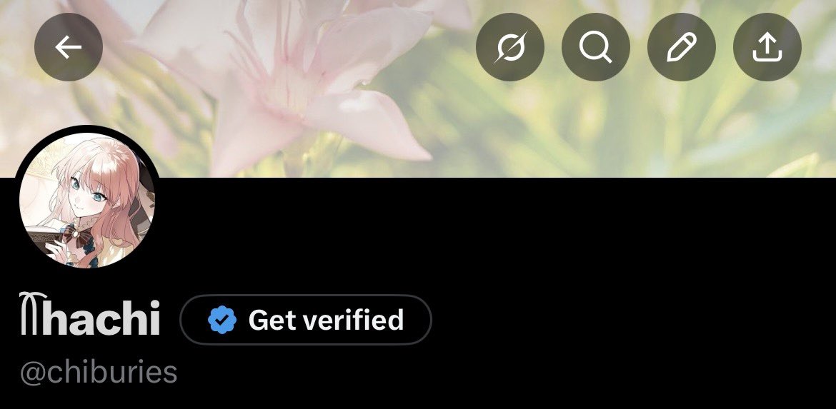 ᥬᩤhachi tweet media