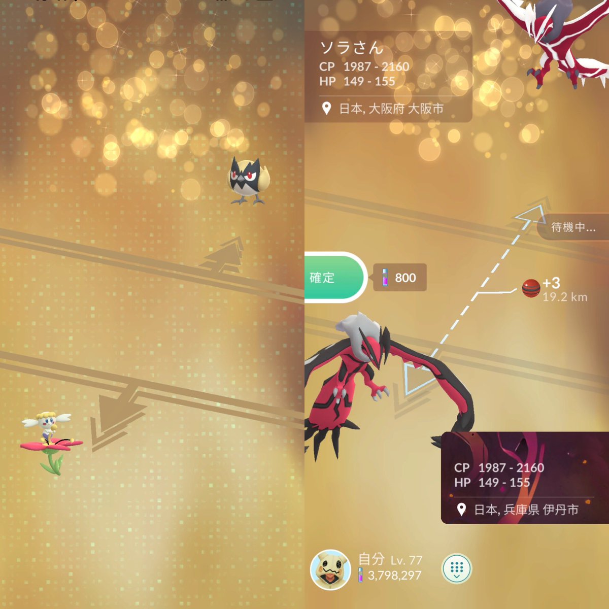 ソラ@ポケモンGO/ポケカ tweet media
