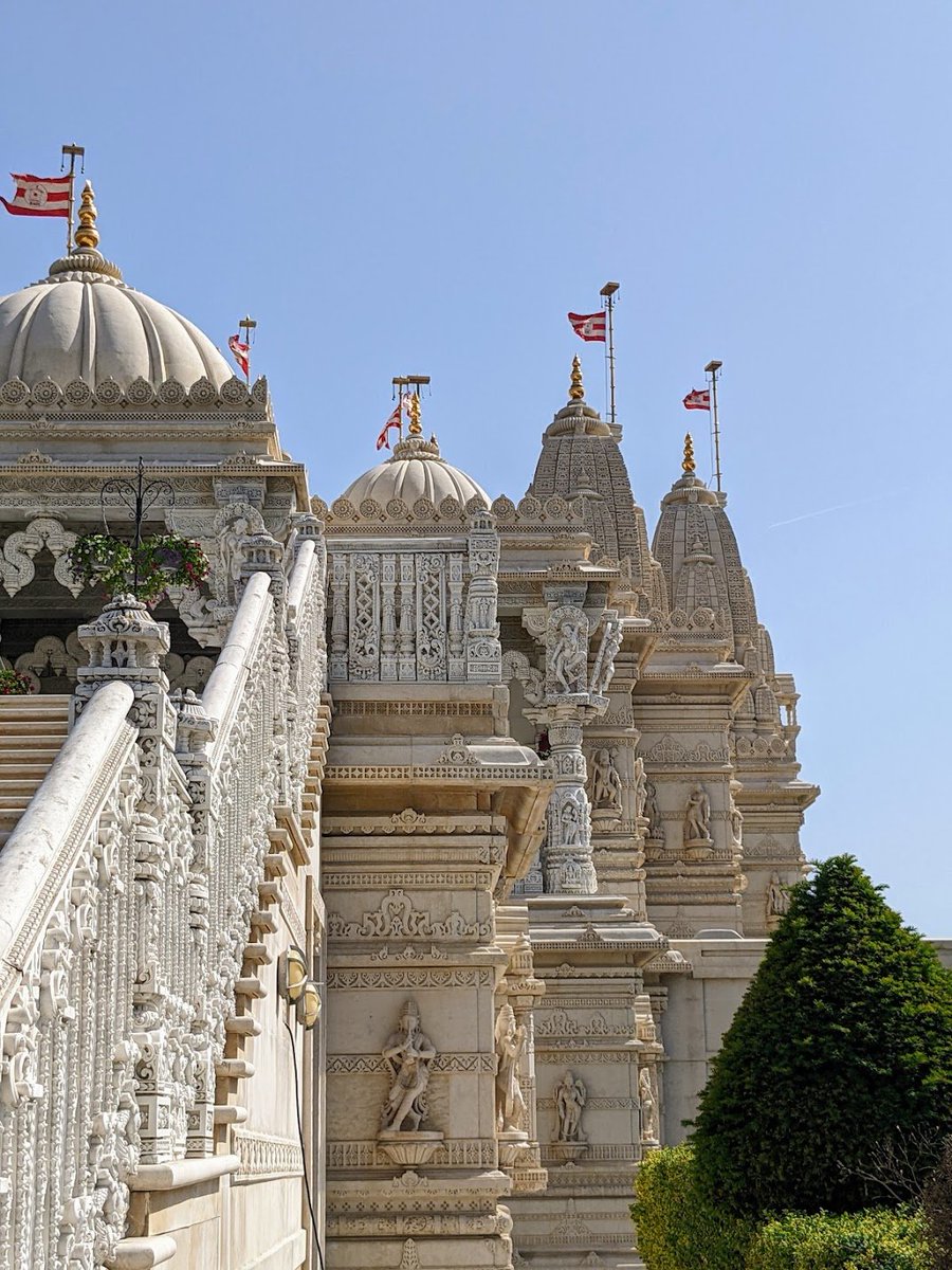 Samuel Hughes tweet media