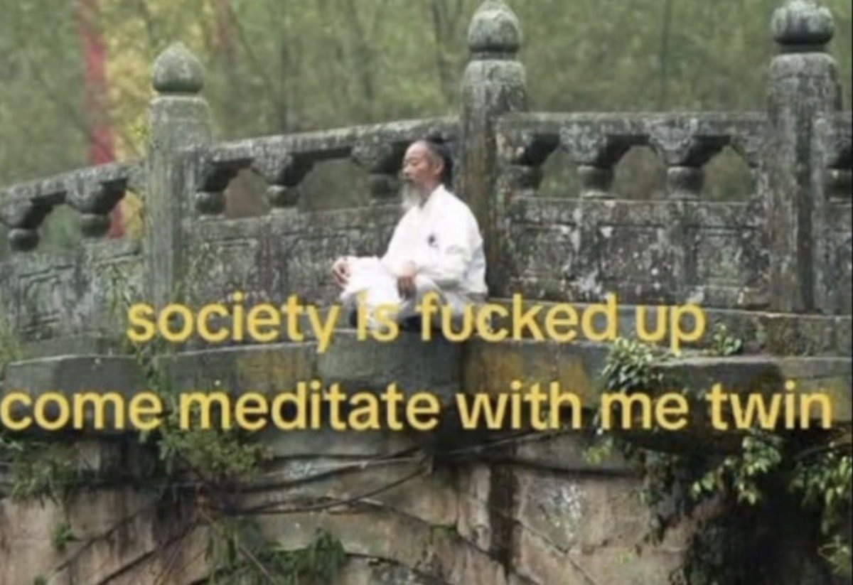 oak-feather tweet media