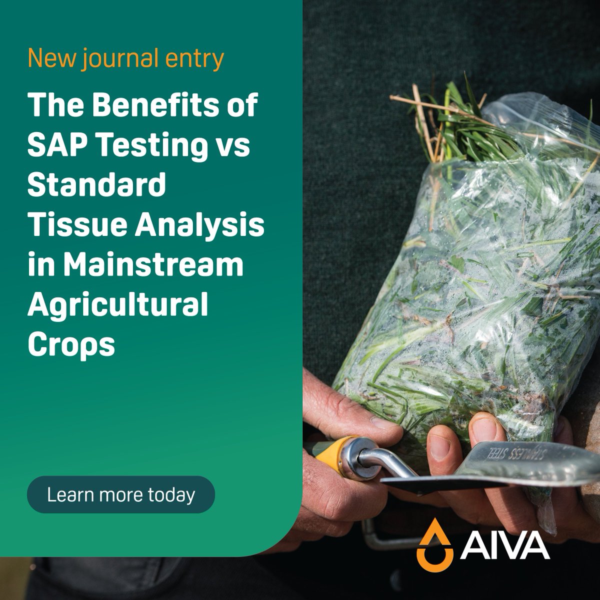 Aiva Fertiliser tweet media