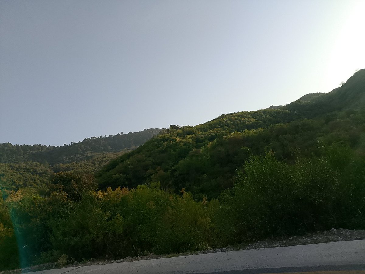 🇵🇰 nush tweet media