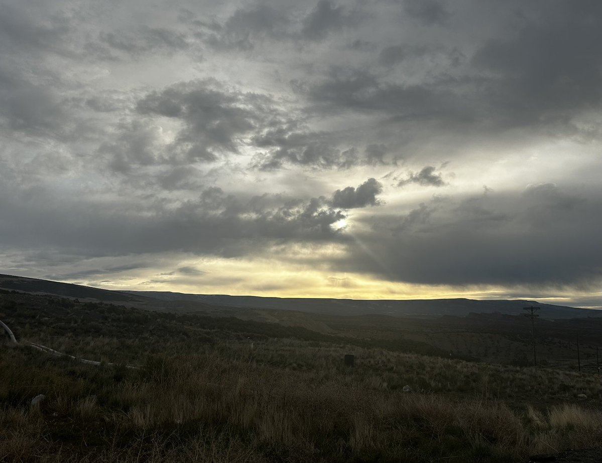 BarkerMan tweet media