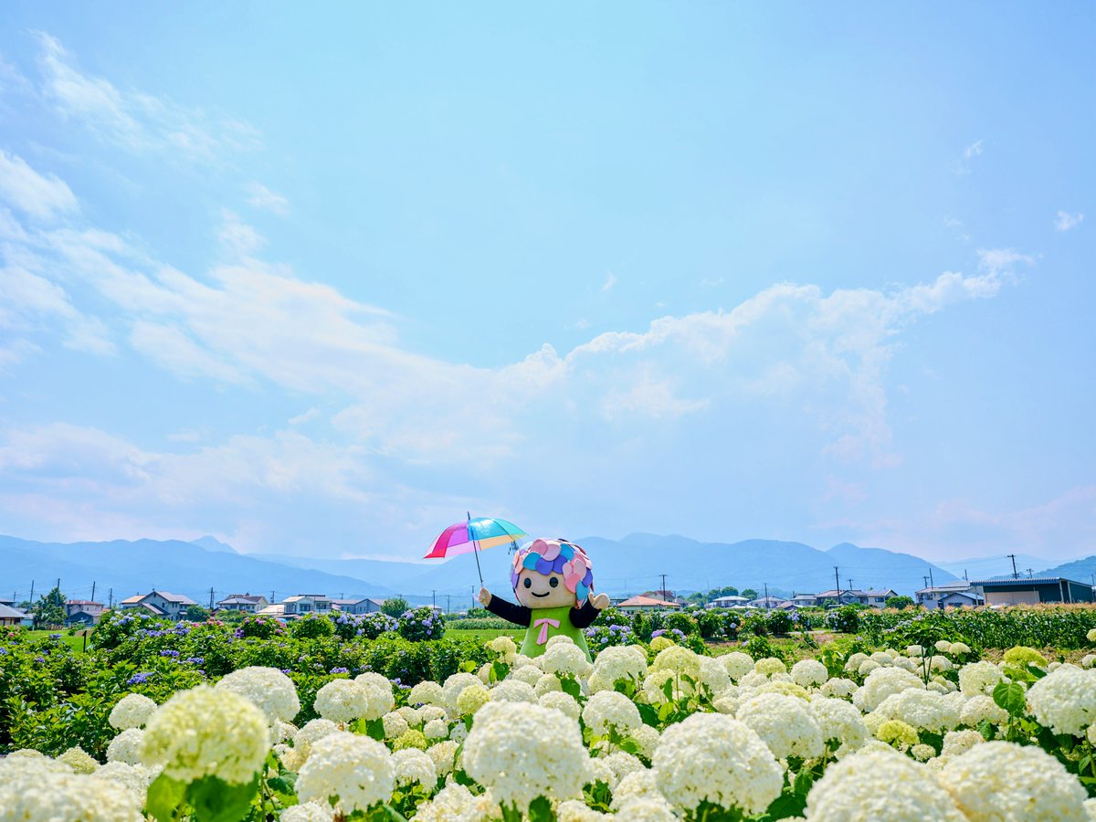 開成町(公式プロモーション) tweet media