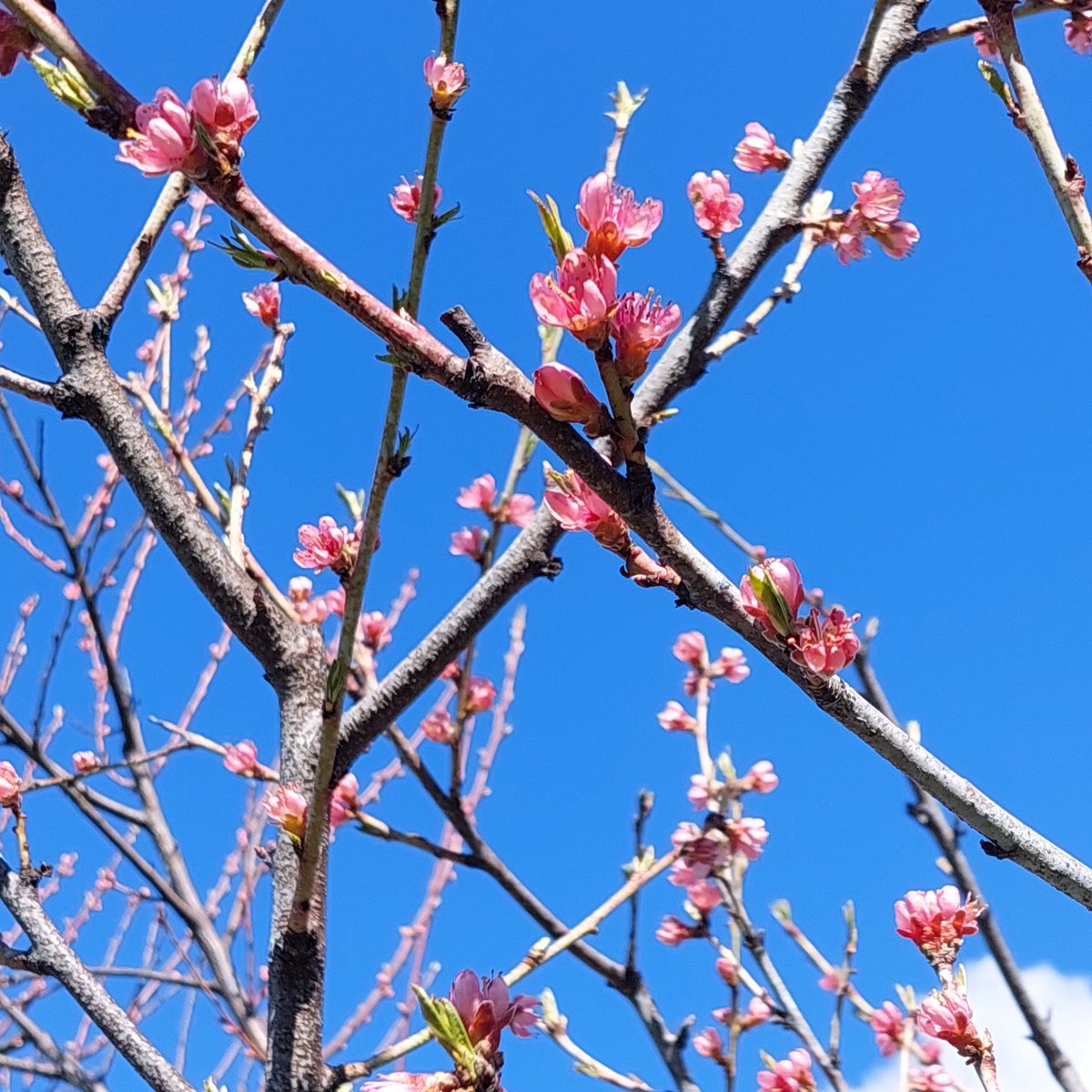 омана ~ 🇺🇦 tweet media