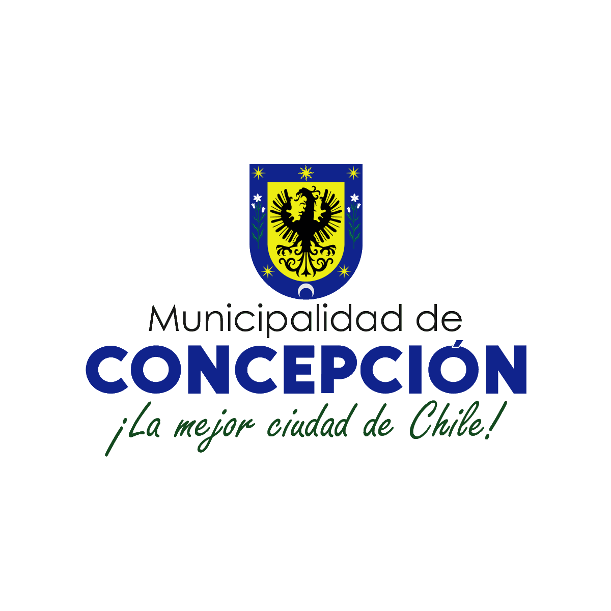 Muni_Concepcion's tweet photo. 🎥🔴 | 𝐄𝐍 𝐕𝐈𝐕𝐎

👉🏻Sigue la transmisión del Concejo Municipal Extraordinario n°28 de #Concepción 

▶️ https://t.co/iqcq9UQ1ZI https://t.co/omZ51punLR