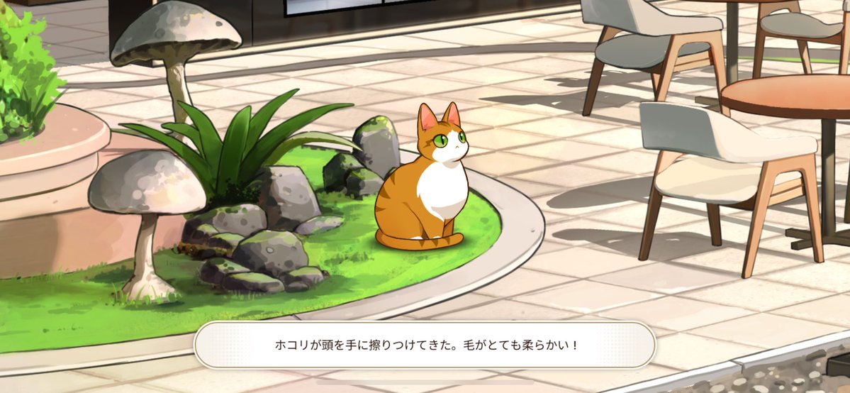 かめにえる@カオゼロ tweet media