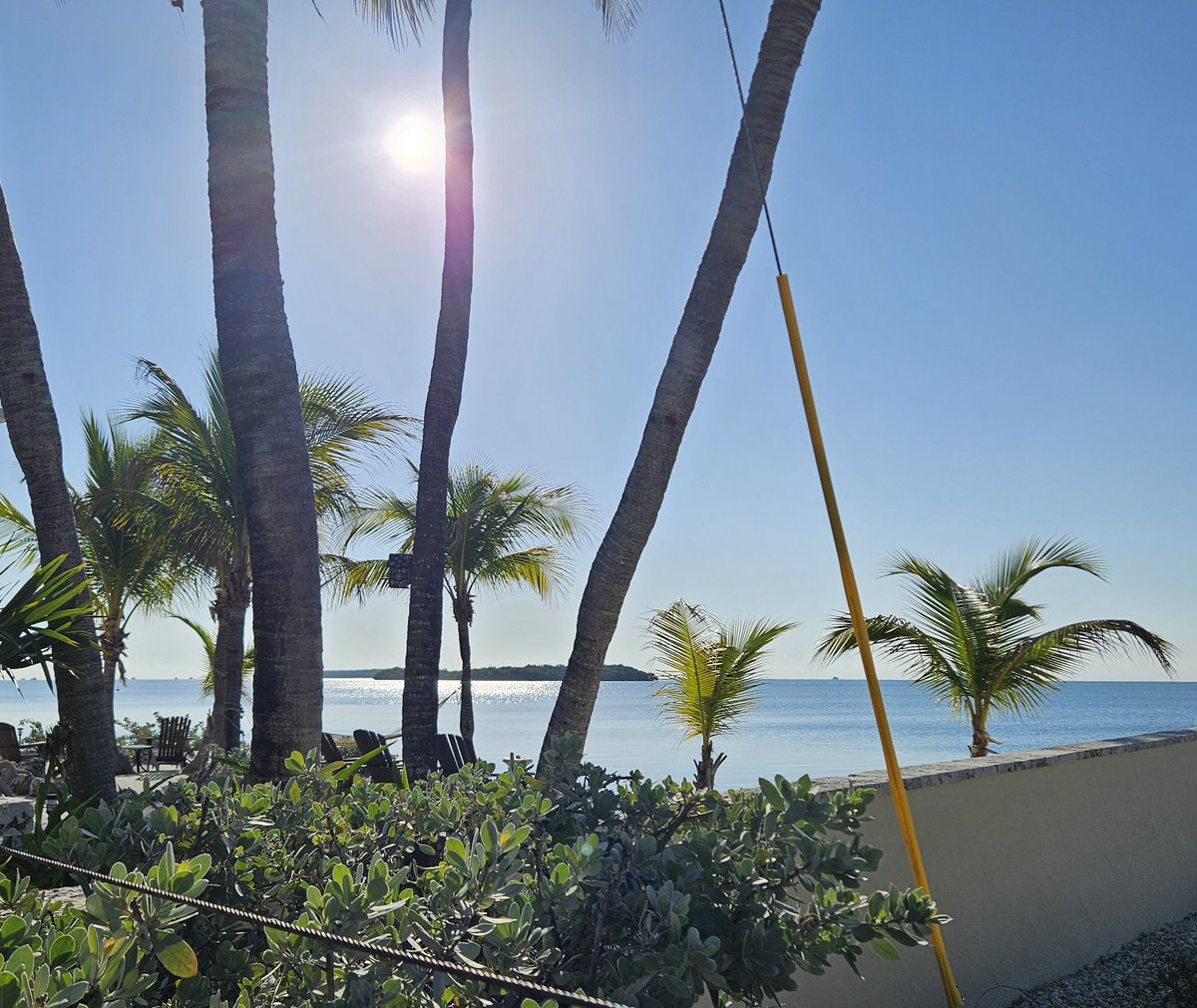 Judy Mick tweet media