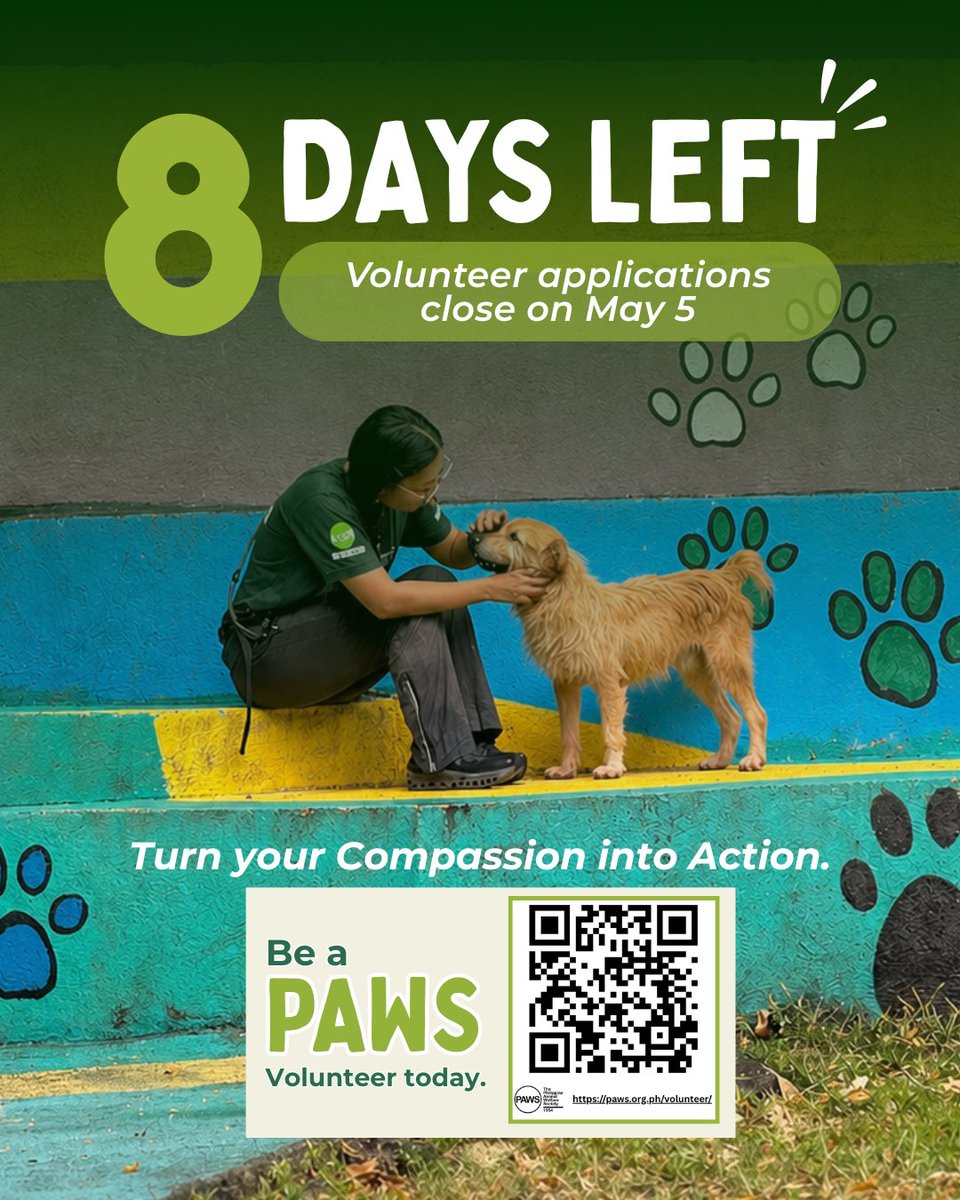 PAWS Philippines tweet media