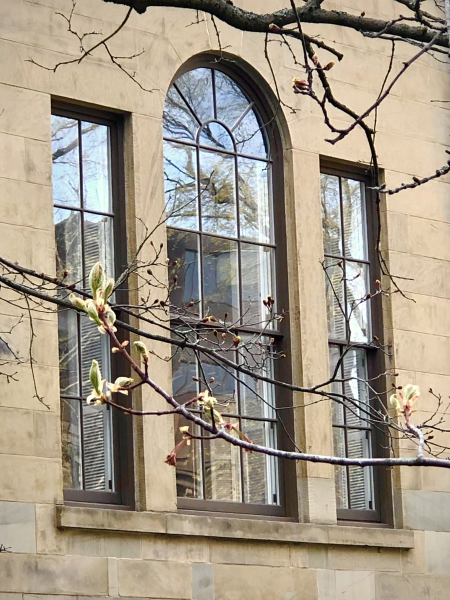 Nova Scotia Legislature tweet media