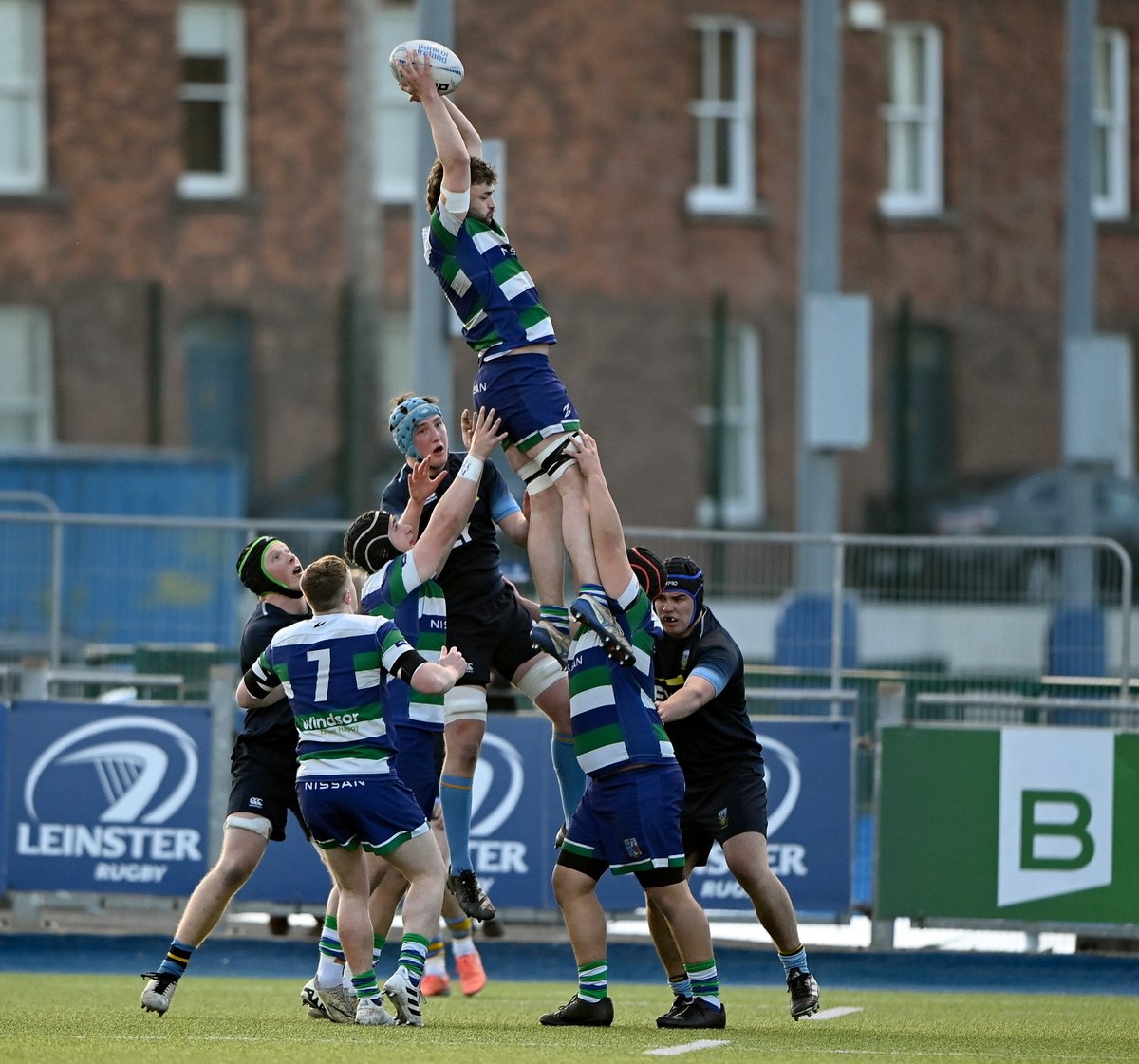 Leinster Domestic tweet media