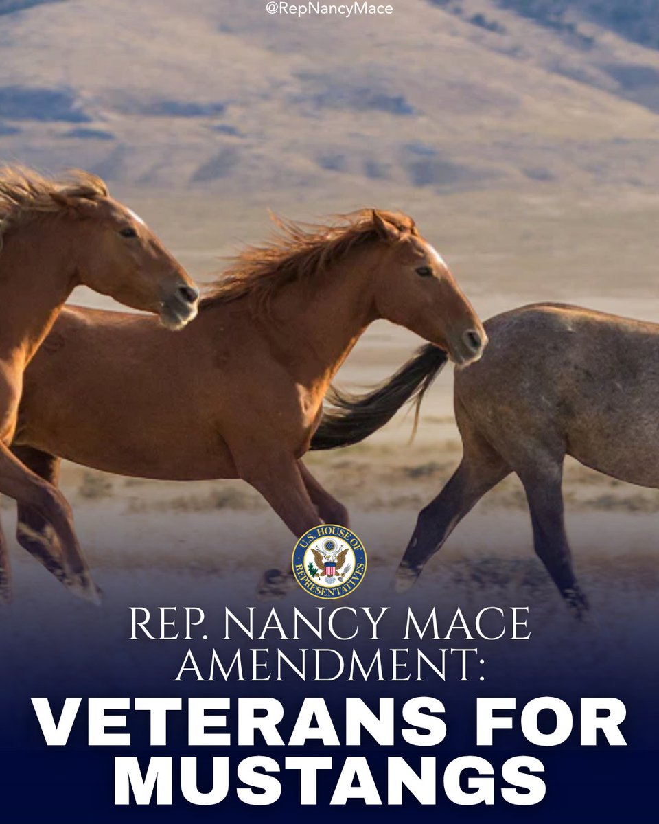 Rep. Nancy Mace tweet media