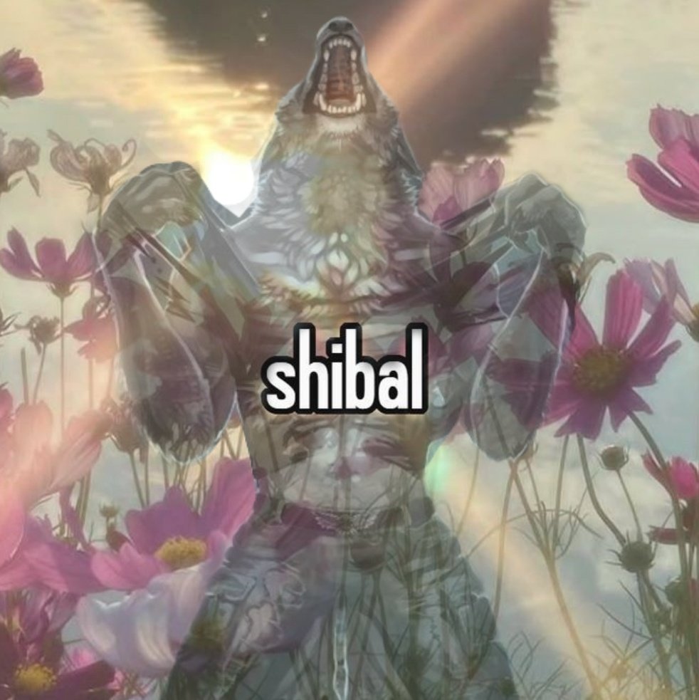 ⋆. aioon ⋆ ୨ৎ tweet media