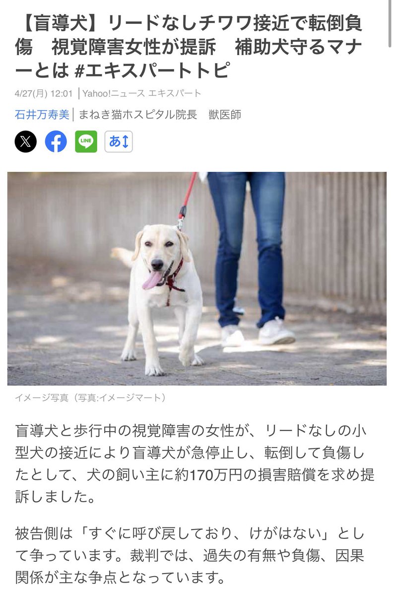 今村 真也@犬の専門家・SippoFesta統括 tweet media