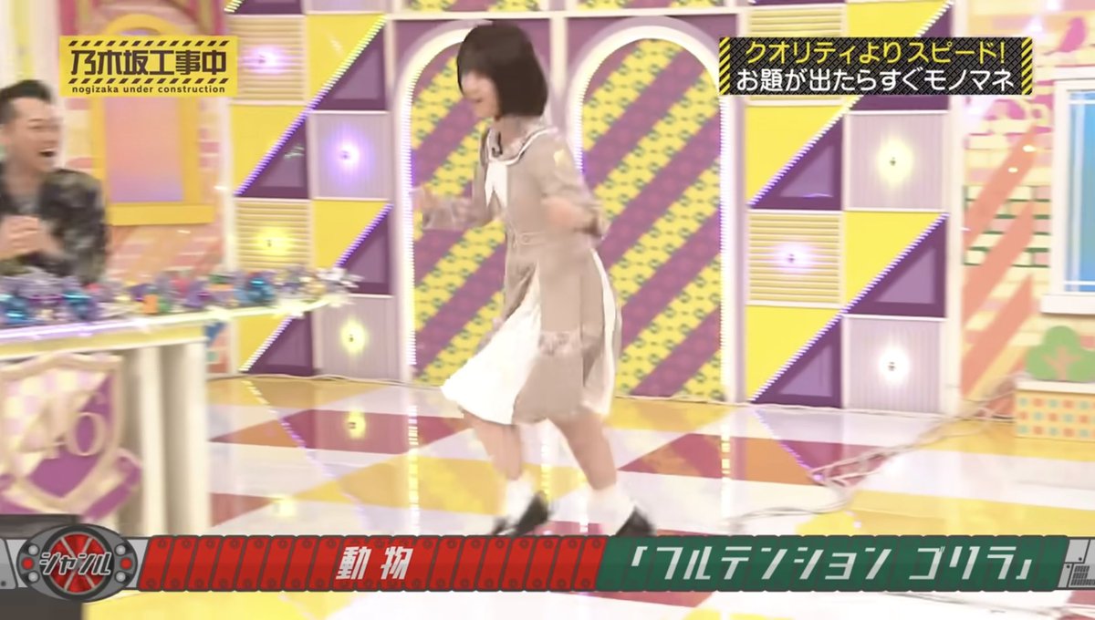 乃木坂46とのかけはし tweet media